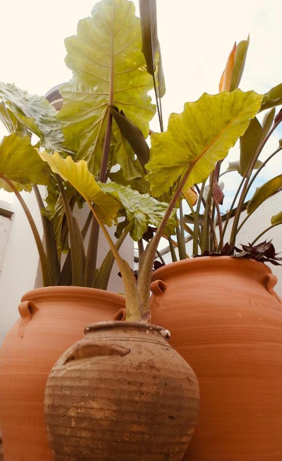 Guest house Boutique Plaza Cantarero Nerja